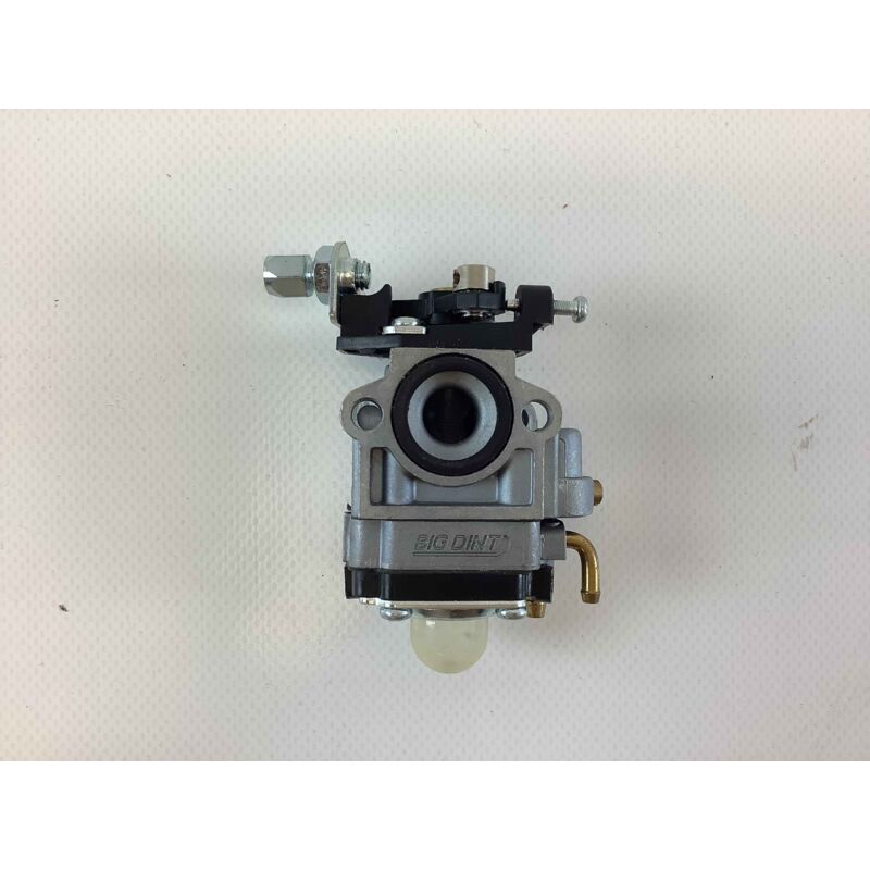 Carburateur ggp - castelgarden 123054025/1