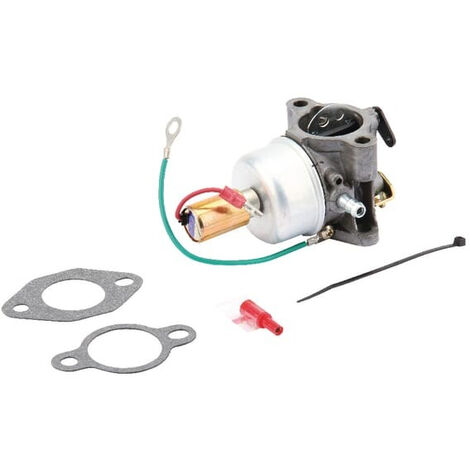 Carburateur KOHLER 12853118S