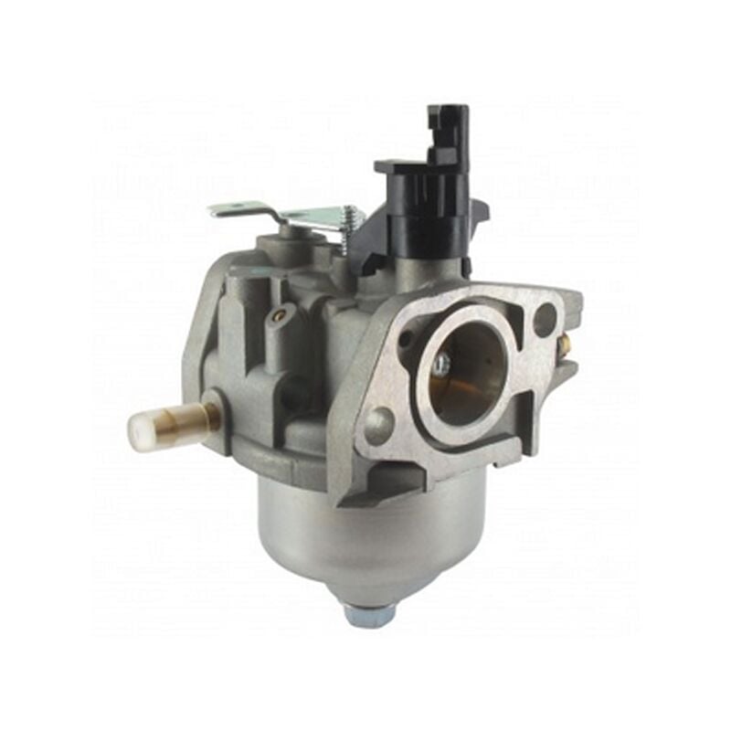 Carburateur Loncin GGP - 118550653/0