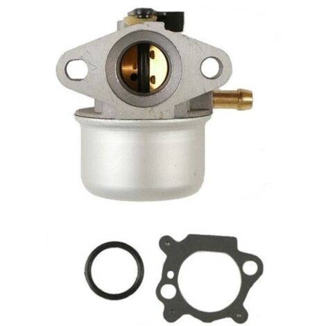 Carburateur moteur Briggs et Stratton - 498170
