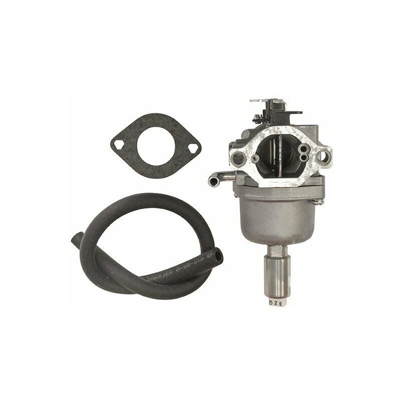 Carburateur BRIGGS ET STRATTON 591731 - 796109