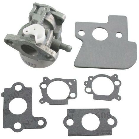 Carburateur moteur Briggs et Stratton Intek