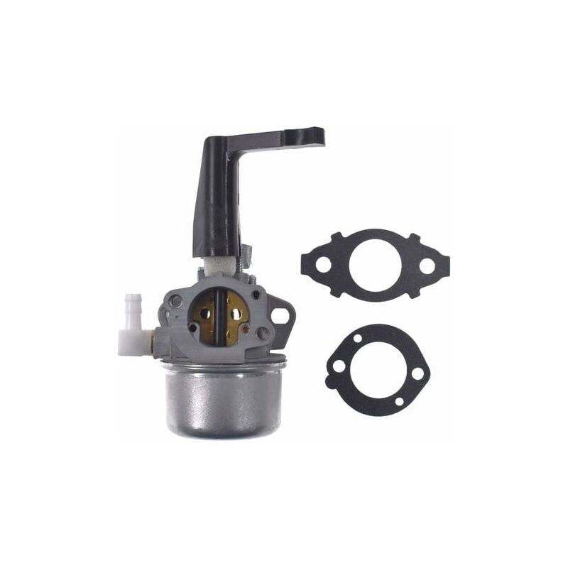 Gabrielle - Carburateur moteur et kit de joints de remplacement pour Briggs & Stratton 696065 697422, 110412-0211-E1 110402-0206-E1 215369