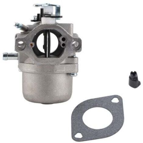 Carburateur moteur pour Briggs & Stratton 285707,289707,28B705,28M707