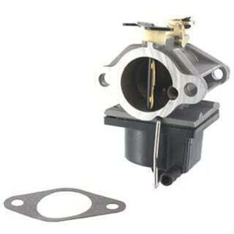 Carburateur Moteur Tecumseh - 640065A