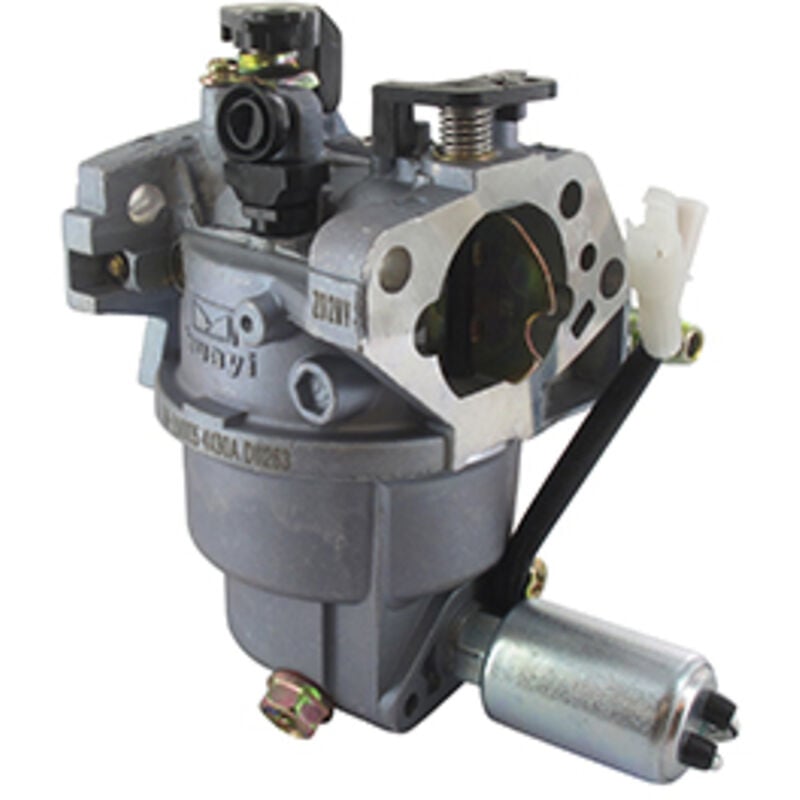 Carburateur MTD 793-00170