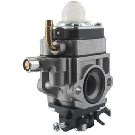 Carburateur Mtd