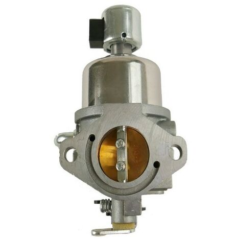 Carburateur Nikki pour moteur Briggs et Stratton Origine 594593
