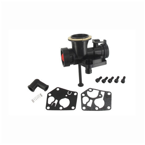 Carburateur pour BRIGGS ET STRATTON 494407 - 494775 - 498809 - 498811 - 794147 - 795477 - 798758