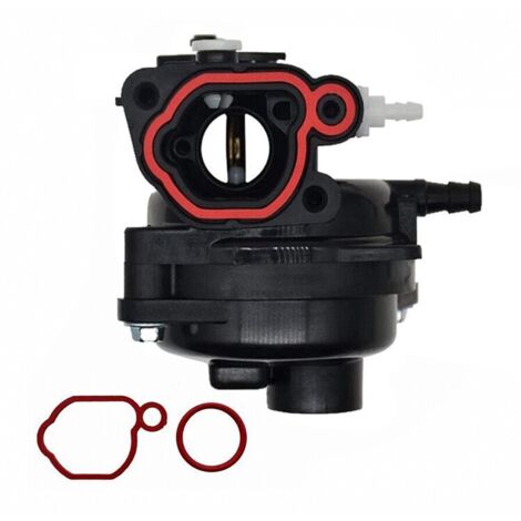 Carburateur pour Briggs-Stratton 300E à 550EX – 125-140cc – 799583