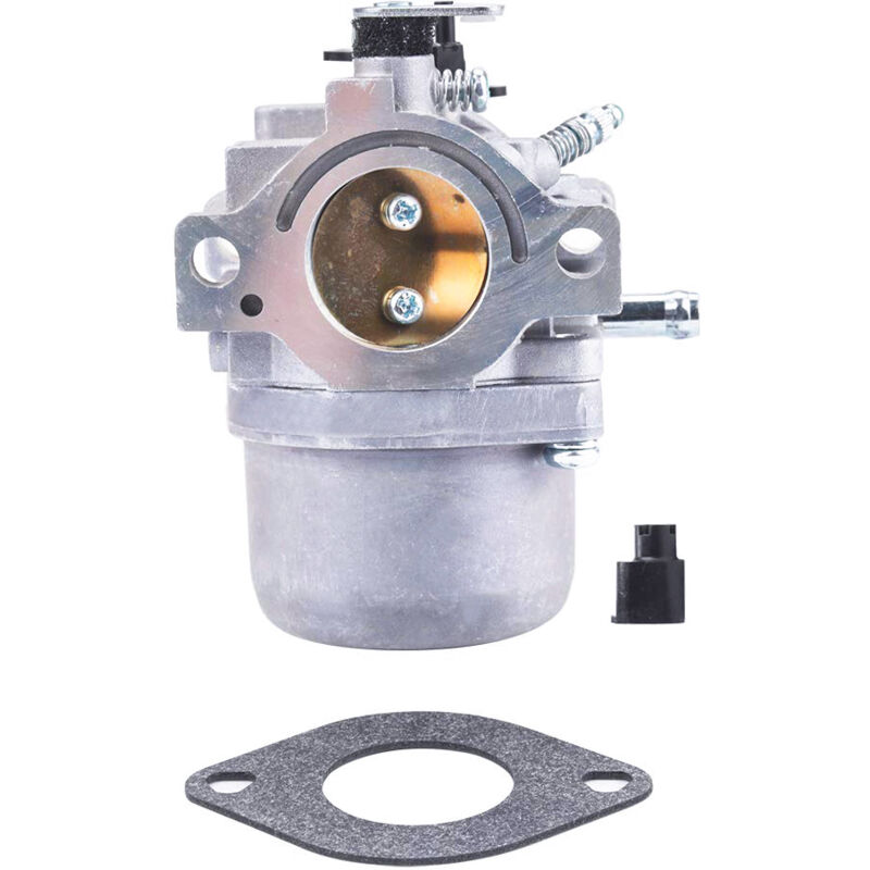 Lifcausal - Carburateur pour Briggs Stratton 494392, 494502, 495706, 496592, 498027, 498231, 499161, 799728, Kit de carburateur de tondeuse à gazon