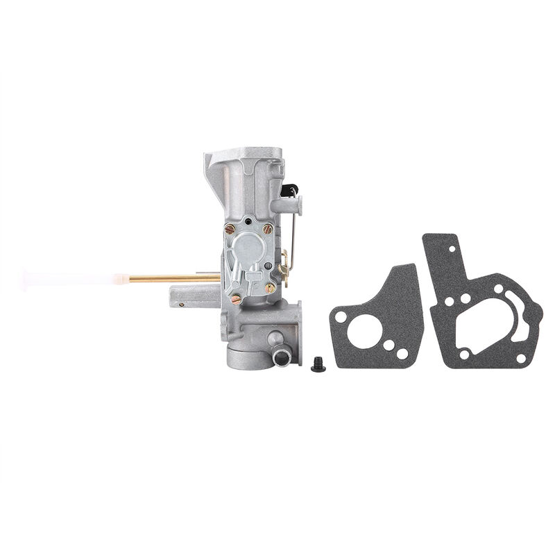 Jeffergarden - Carburateur pour Briggs & Stratton 498298 130202 112202 112232 134202 137202 5Hp