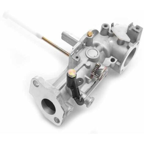 Carburateur pour Briggs & Stratton 5 & 6 HP