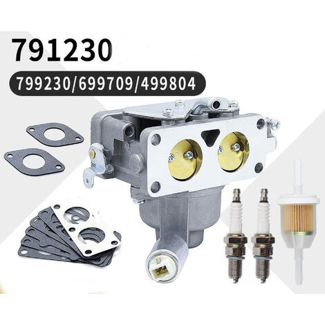 Carburateur pour Briggs Stratton 791230 799230 699709 499804 20-25hp