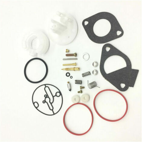 Carburateur pour Briggs & Stratton 796184 796081 79072 Moteurs Intek