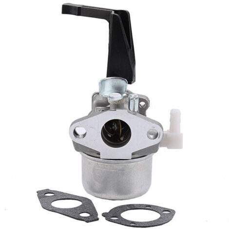 Carburateur pour Briggs&Stratton 696065 697422 Compa