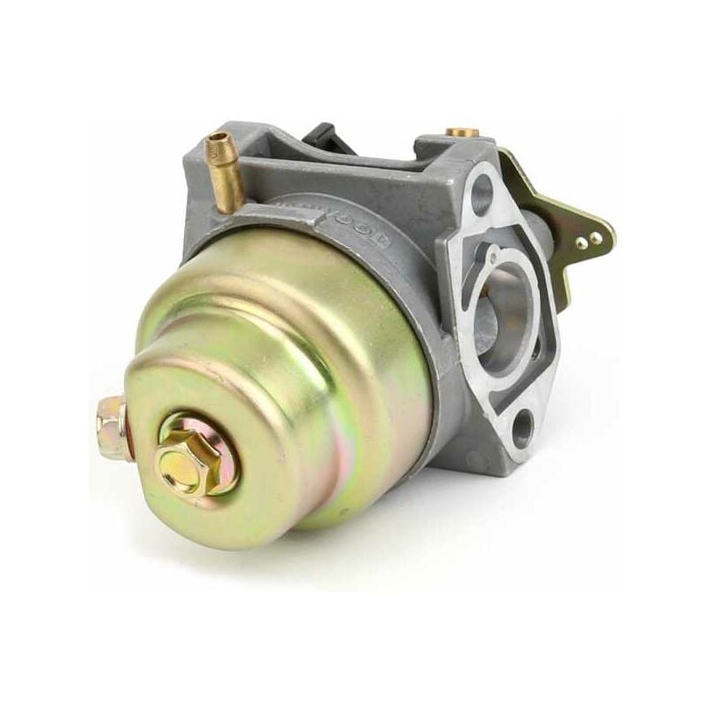 Matijardin - Carburateur pour Honda 6100ZM0804, 16100Z0L013, 16100Z0L023