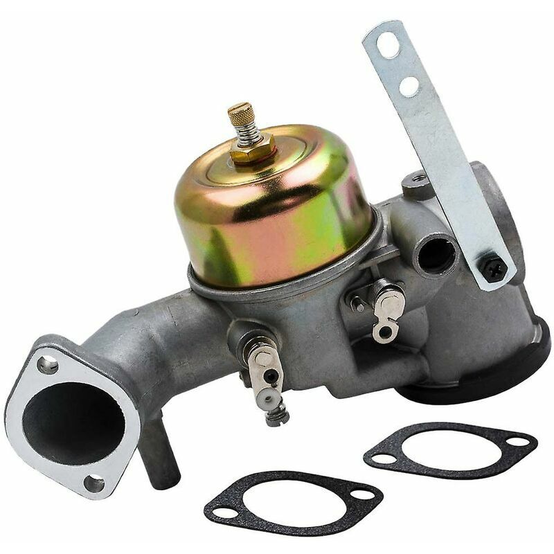 Carburateur pour machine à gazon 252702 491026 252707 253702 393410 accessoires pour carburateur