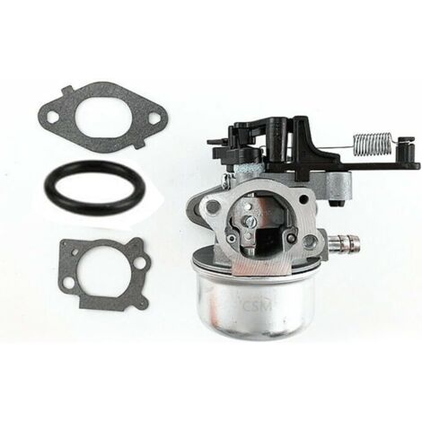 Carburateur pour moteur 800OHV, pièce de rechange n° 799226, joint et joints -