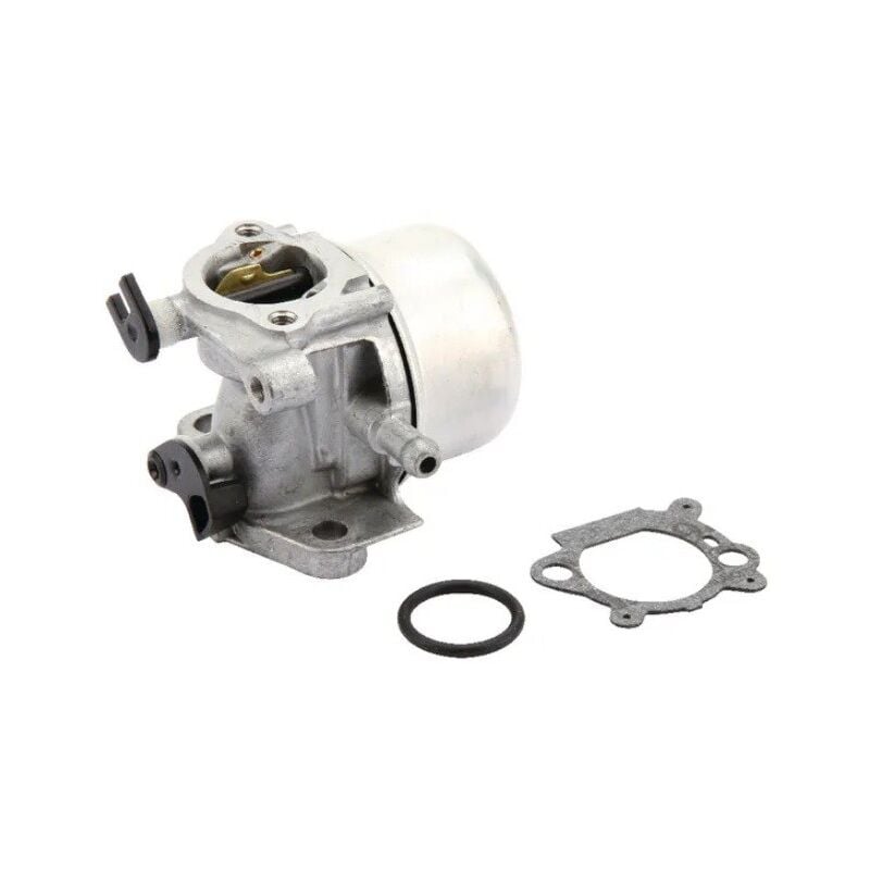 Briggs&stratton - 799871 - Carburateur pour moteur briggs et stratton (Starter automatique)