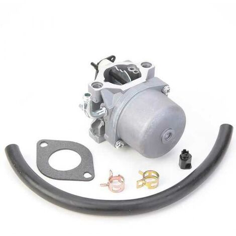 Carburateur pour moteur Briggs & Stratton 590399