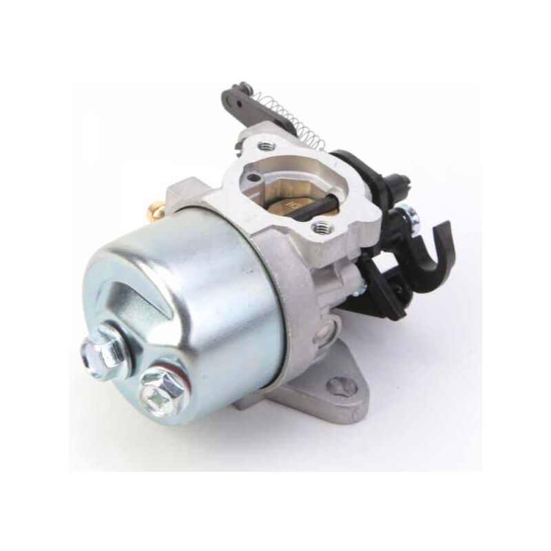 Matijardin - Carburateur pour moteur Briggs & Stratton 591852