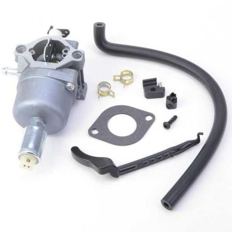 Carburateur pour moteur Briggs & Stratton 794572