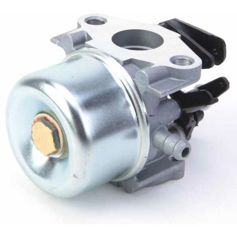 Carburateur pour moteur Briggs & Stratton 796608