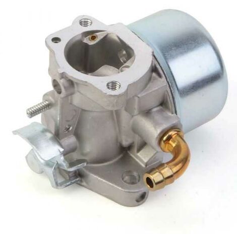 Carburateur pour moteur Briggs & Stratton 798653