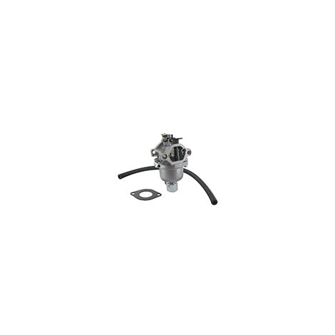 Carburateur Pour Moteur Briggs & Stratton, Se Monte Sur Les Séries: 219977, 21b807, 21b877, 21b906, 21b907. Orignine: 590400, 7