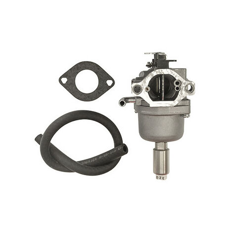 Carburateur Pour Moteur Briggs & Stratton, Se Monte Sur Les Séries 31a507, 31a607, 31a707, 31a807, 31c707, 31e577, 31e607, 31e67