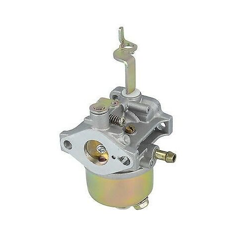 Carburateur pour moteur Robin EY20, 2266246000