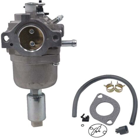 Carburateur pour Moteurs Briggs & Stratton 287707 287776 287777 310707 310777 698620 690194 791886 799727 496796 499153 695412 792768 Remplacement du carburateur