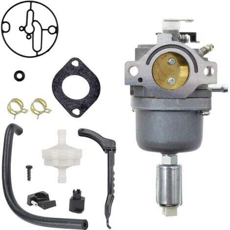 Carburateur pour Moteurs Briggs & Stratton 287707 287776 287777 310707 310777 698620 690194 791886 799727 496796 499153 695412 792768 Remplacement du carburateur