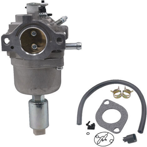 Carburateur pour Moteurs Briggs & Stratton 287707 287776 287777 310707 310777 698620 690194 791886 799727 496796 499153 695412 792768 Remplacement du carburateur