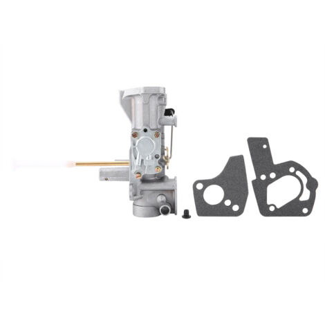 Carburateur pour moteurs Briggs & Stratton 498298, 130202, 112202, 112232, 134202 et 137202 (5 CV)