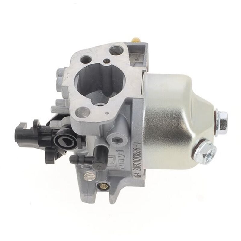 Einhell - Carburateur 340476001287 - tondeuse a gazon