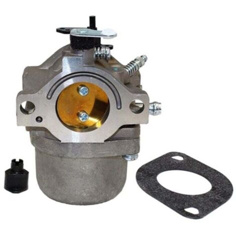 Carburateur pour tondeuses Briggs Stratton 799728 286707 288702