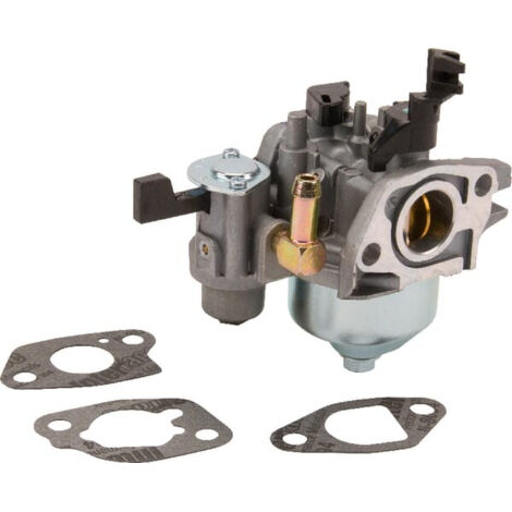 Carburateur pour tracteur de pelouse BRIGGS moteur horizontal 750 Series 130G00
