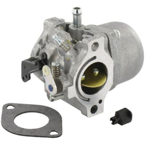 Carburatore BRIGGS & STRATTON 799728