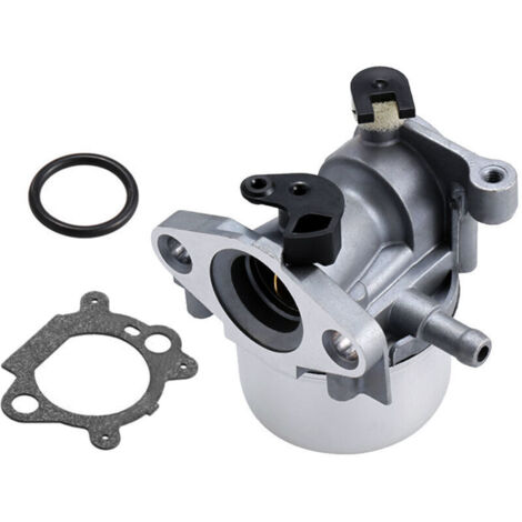 Carburatore per Briggs & Stratton 799866 sostituisce 796707 794304 con guarnizione