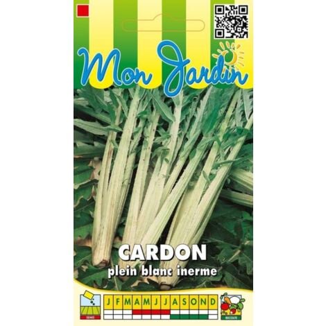 CARDON PLEIN BLANC Inerme | 25 Graines | Côtes Épaisses Non - Foto 7