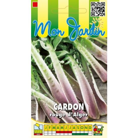 Cardon rouge D'Alger - 5g