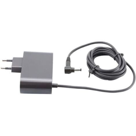 Cargador de 30,45 V para Dyson Cyclone V10 V11 V12 V15 - (Compatible con SV12 SV14 SV22 SV20 Detect Animal Absolute Aspiradora Inalámbrica 217160 969350)