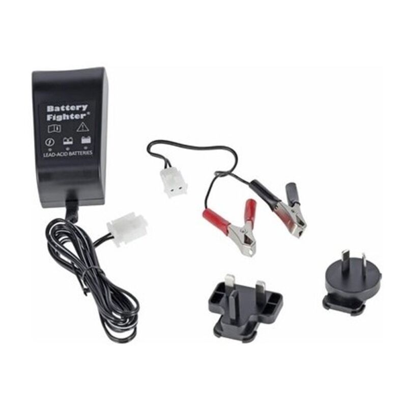 Castelgarden - Cargador de batería autopropulsado 12V - 200mAh ggp - 1134-9250-01