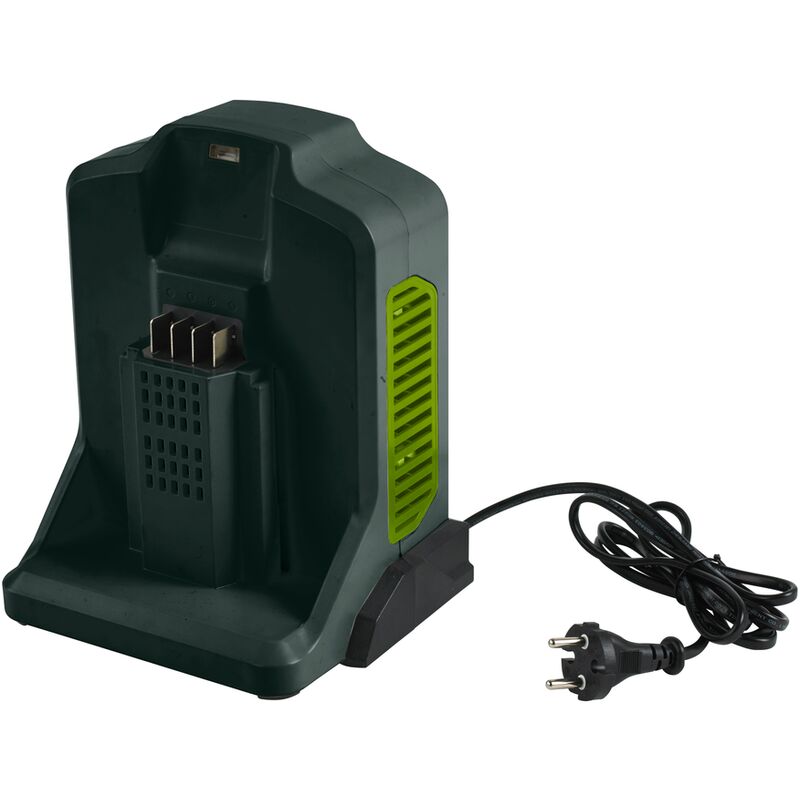 

Central Park - Cargador de batería 'DYMA89' - 82V - Versátil Idoneidad - Verde