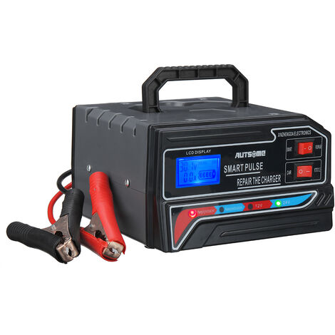 Cargador de batería de coche eléctrico de 12 V/24 V, motocicleta de automóvil LAVENTE