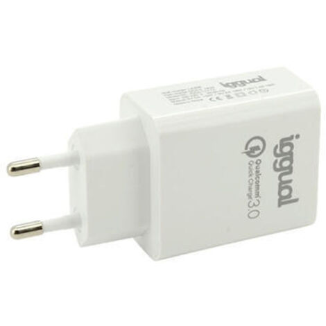Cargador de Pared iggual IGG317174