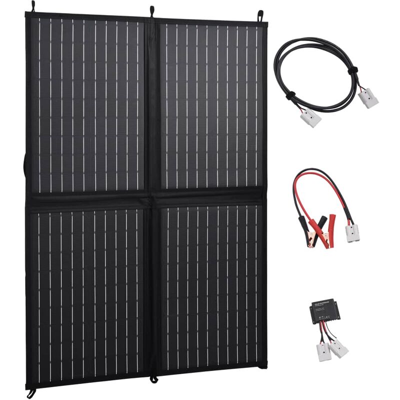 

Cargador solar plegable 100 W 12 V