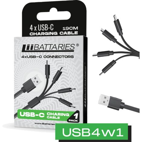 Cargador USB-C 4 en 1 LiiBattaries, especialmente dise帽ado para bater铆as de iones de litio, 19 cm, funci贸n de carga r谩pida